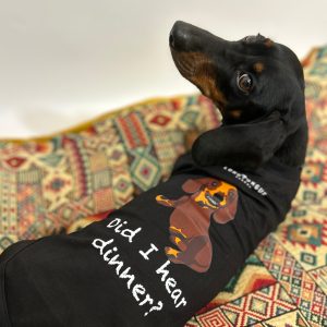 Longtongue – Designer Dog T-shirts – Did I Hear Dinner